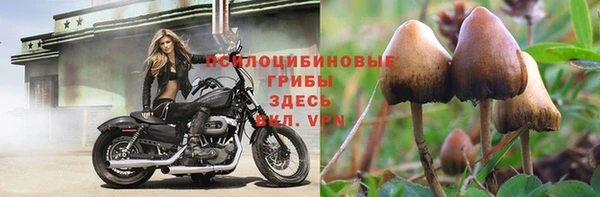 скорость mdpv Алзамай