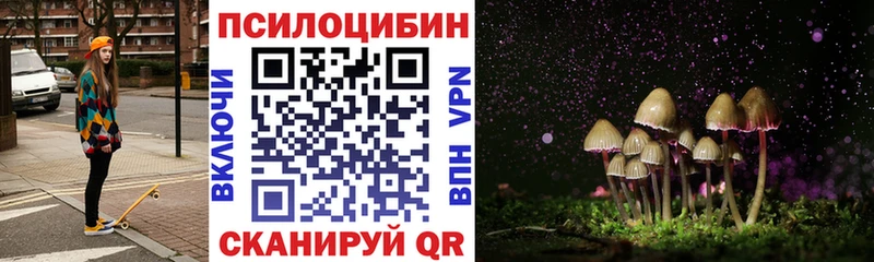 Галлюциногенные грибы Cubensis  Калининск 
